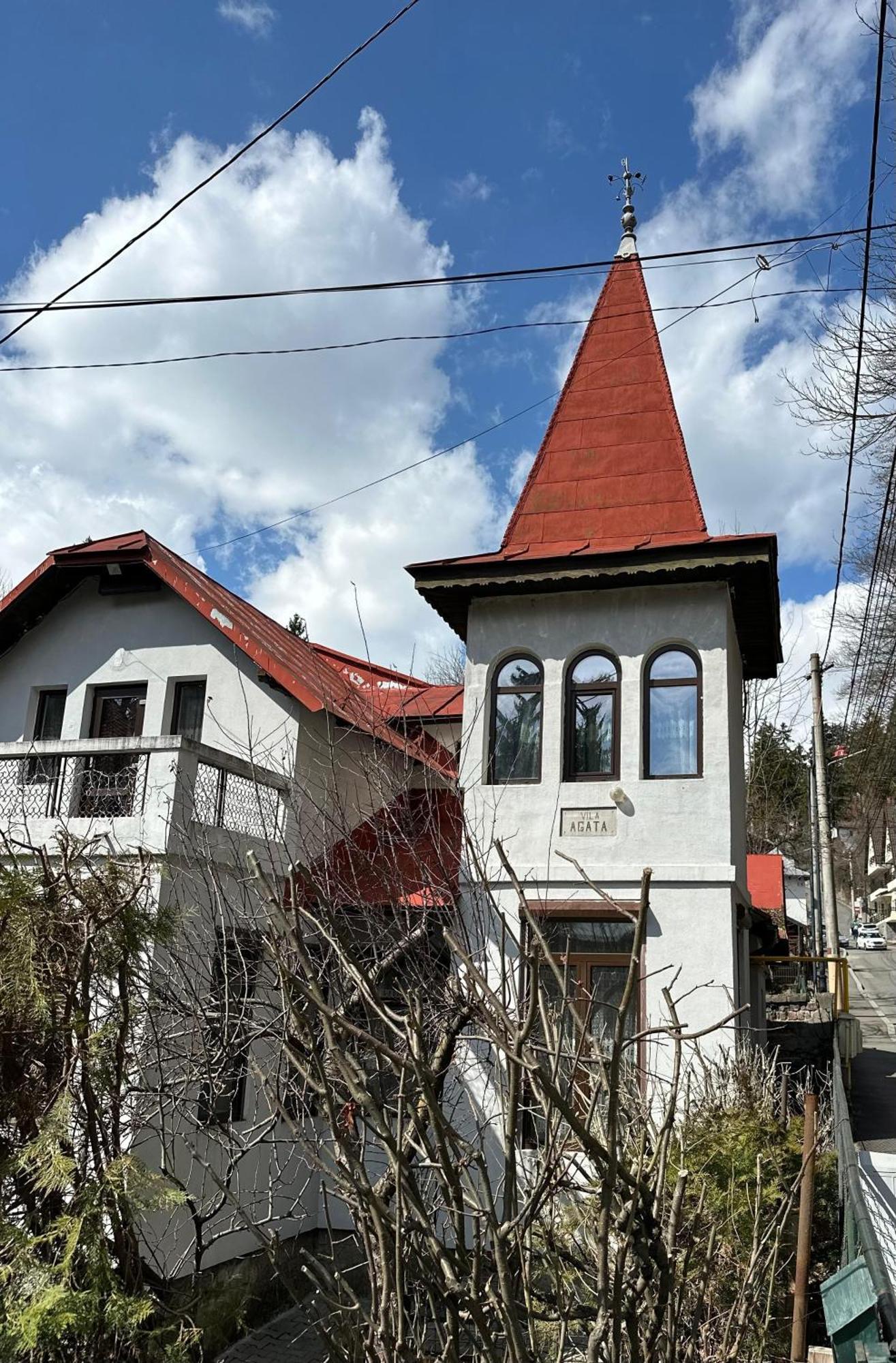 Vila Agata Sinaia Exterior foto